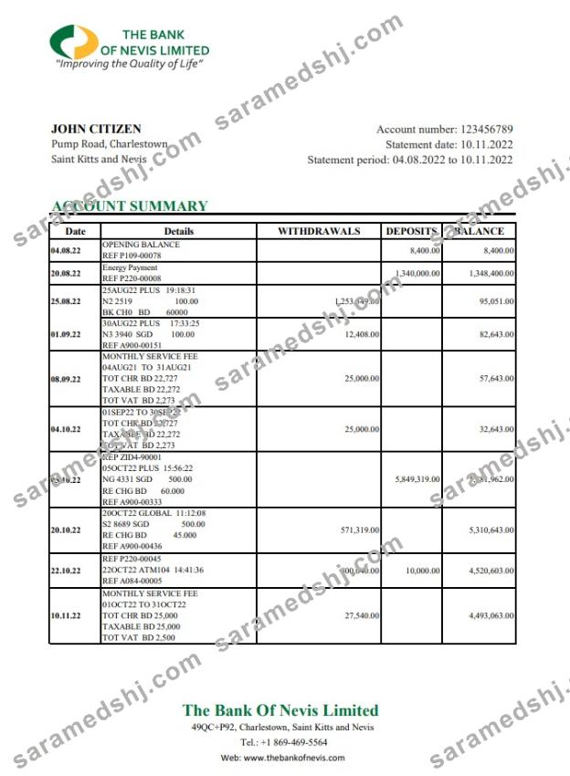 Saint Kitts and Nevis The Bank of Nevis bank statement xls